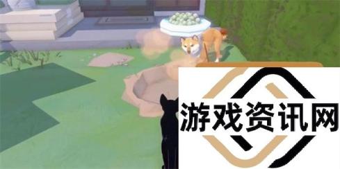 小猫咪大城市找到狗狗的球怎么达成 小猫咪大城市找到狗狗的球成就攻略